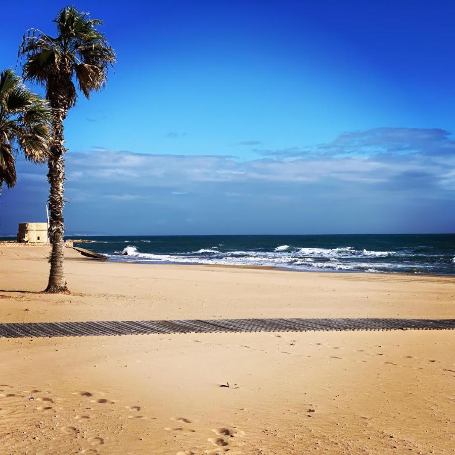 La Mata.Torrevieja.New Apartment 1M To The Beach) La Mata  Exterior foto